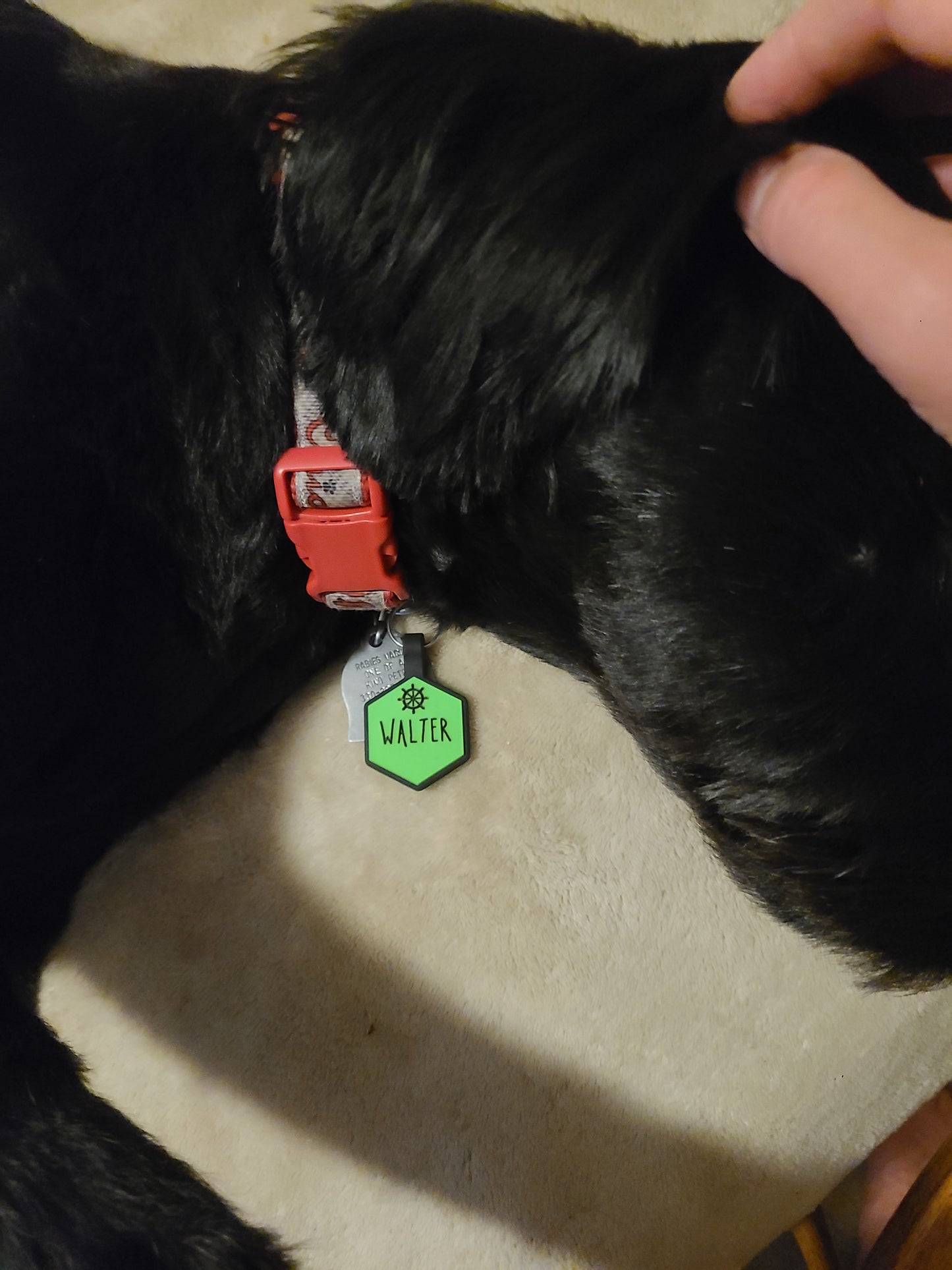 Custom silicone pet tags